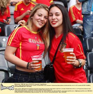Football, Euro 2012, Fans of the participating countries