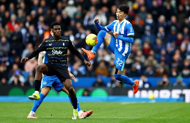 Football, England, Brighton and Hove Albion - FC Everton
