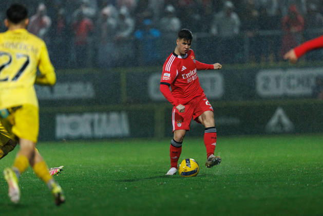 Samuel Dahl seen during Liga Portugal game between CD Tondela and SL Benfica (Maciej Rogowski Ball Raw Images) Tondela Estadio Joao Cardoso Portugal Copyright: xMaciejxRogowskix maciejrogowski_tondela_benfica_2526-123