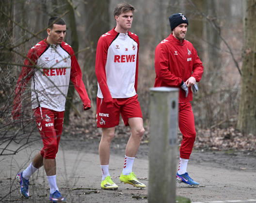 Football, 1st BL, 1. FC Köln, Training