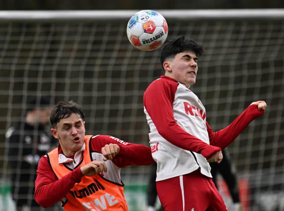 Football, 1st BL, 1. FC Köln, Training