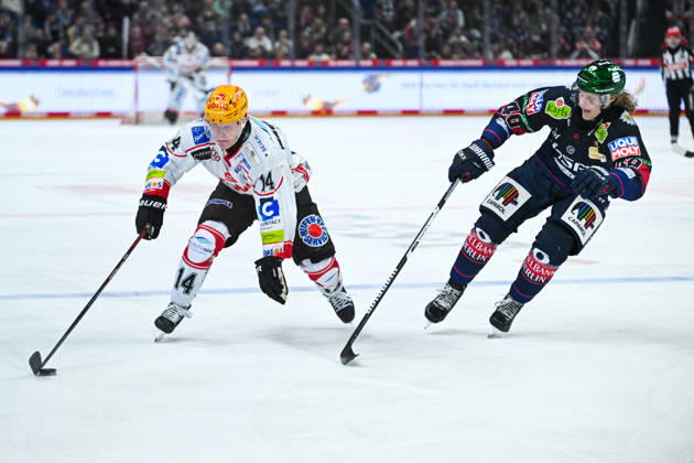 Ice Hockey, DEL, Eisbären Berlin - Fischtown Pinguins Bremerhaven