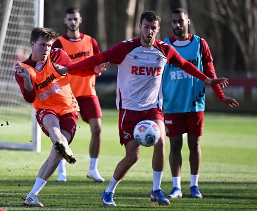 Football, 1st BL, 1. FC Köln, Training