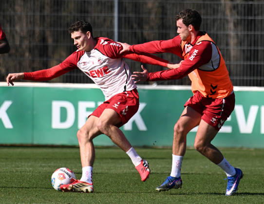 Football, 1st BL, 1. FC Köln, Training