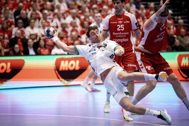 Handball, CL, Aalborg Handbold - Füchse Berlin