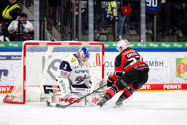 Ice Hockey, DEL, Nuremberg Ice Tigers - Eisbären Berlin