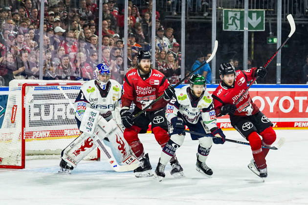 Ice Hockey, DEL, Cologne Sharks - Eisbären Berlin