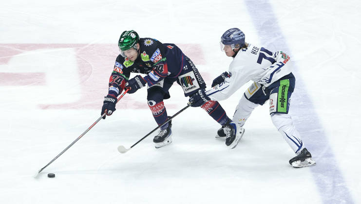 Ice Hockey, DEL, Playoffs, Eisbären Berlin - Straubing Tigers