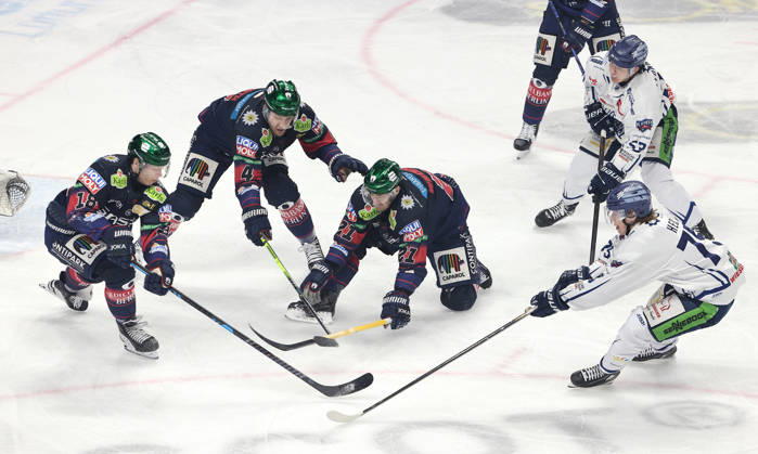 Ice Hockey, DEL, Eisbären Berlin - Straubing Tigers