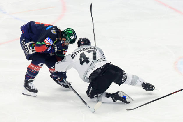 Ice Hockey, DEL, Playoffs, Eisbären Berlin - Kölner Haie