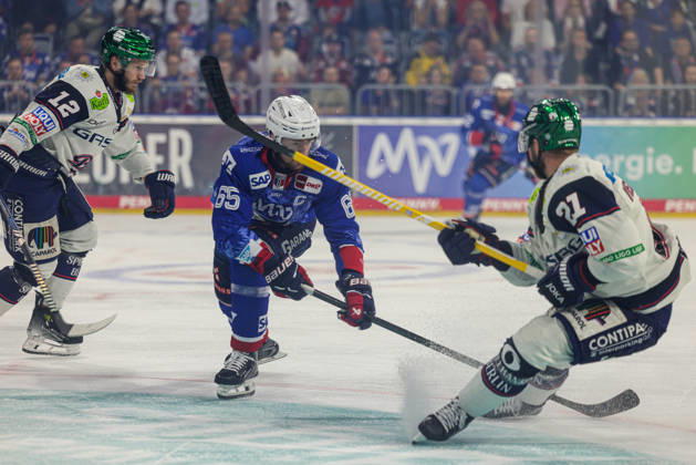 Ice Hockey, DEL, Adler Mannheim - Eisbären Berlin