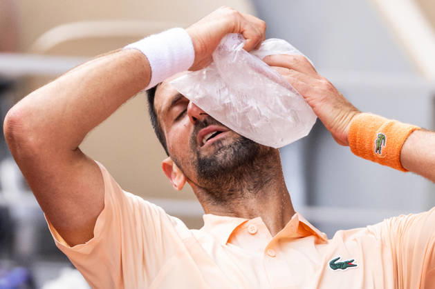 Tennis, French Open, Tag 6, Joao Fonseca - Novak Djokovic