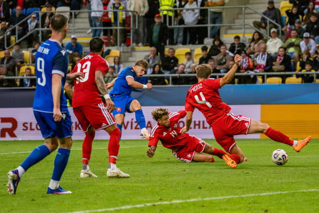 Fußball, Länderspiel, Slowakei - Malta