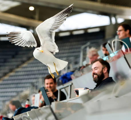 Sport Bilder des Tages