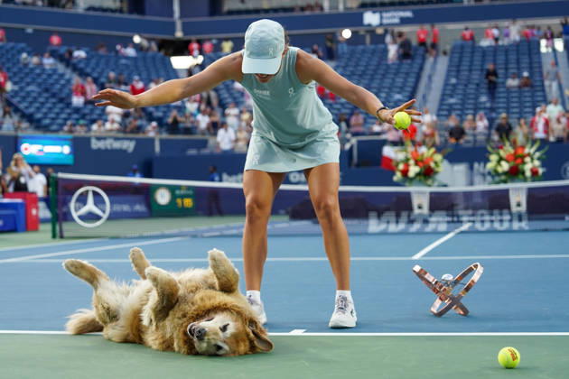 Tennis, WTA-Turnier in Toronto, Finale, Hund Elway feiert mit Siegerin Swiatek