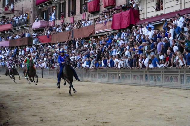 Pferdesport, Palio di Siena