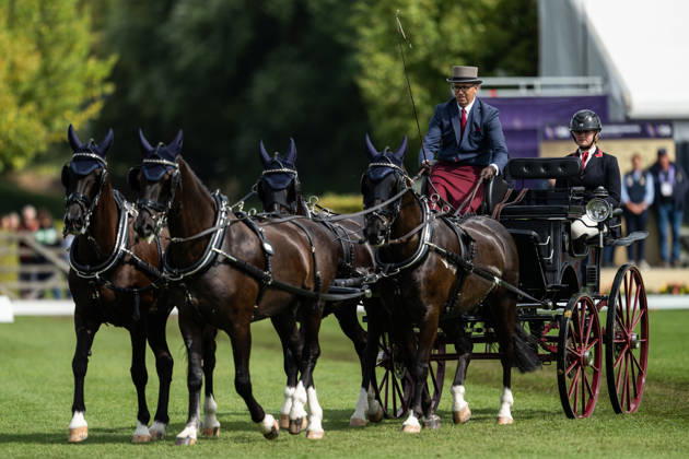 August 21, 2026: Fredrik Persson of Sweden, riding the horses Fasco, Hertog Jan, Judson, and Kermit, competes in the Four-in-Hand Dressage on Day 11 of the 2026 FEI World Championships on August 21, 2026 in Aachen. Photo by Emma Wallskog. BILDBYRAN code EW EW0695 equestrian sports 2026 World Championships 2026 FEI World Championships bbeng equestrian sports World Championships four-in-hand driving dressage four-in-hand Copyright: EMMAxWALLSKOG BB260821EW002