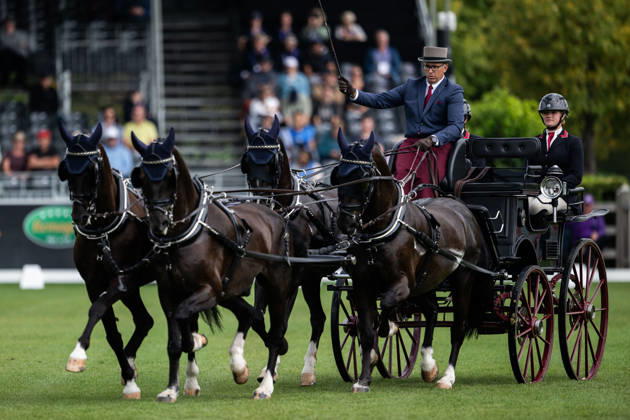 August 21, 2026: Fredrik Persson of Sweden, riding the horses Fasco, Hertog Jan, Judson, and Kermit, competes in the Four-in-Hand Dressage on Day 11 of the 2026 FEI World Championships on August 21, 2026 in Aachen. Photo by Emma Wallskog. BILDBYRAN code EW EW0695 equestrian sports 2026 World Championships 2026 FEI World Championships bbeng equestrian sports World Championships four-in-hand driving dressage four-in-hand Copyright: EMMAxWALLSKOG BB260821EW004