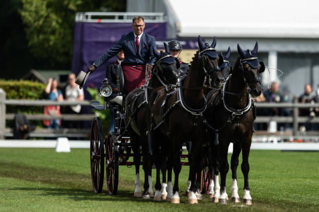 August 21, 2026: Fredrik Persson of Sweden, riding the horses Fasco, Hertog Jan, Judson, and Kermit, competes in the Four-in-Hand Dressage on Day 11 of the 2026 FEI World Championships on August 21, 2026 in Aachen. Photo by Emma Wallskog. BILDBYRAN code EW EW0695 equestrian sports 2026 World Championships 2026 FEI World Championships bbeng equestrian sports World Championships four-in-hand driving dressage four-in-hand Copyright: EMMAxWALLSKOG BB260821EW008