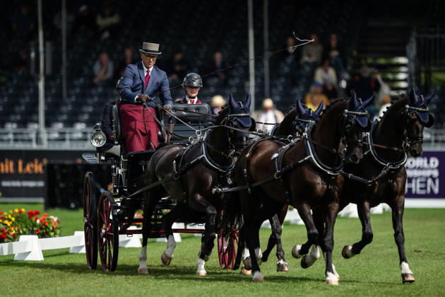August 21, 2026: Fredrik Persson of Sweden, riding the horses Fasco, Hertog Jan, Judson, and Kermit, competes in the Four-in-Hand Dressage on Day 11 of the 2026 FEI World Championships on August 21, 2026 in Aachen. Photo by Emma Wallskog. BILDBYRAN code EW EW0695 equestrian sports 2026 World Championships 2026 FEI World Championships bbeng equestrian sports World Championships four-in-hand driving dressage four-in-hand Copyright: EMMAxWALLSKOG BB260821EW010