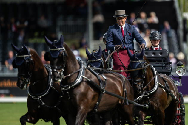 August 21, 2026: Fredrik Persson of Sweden, riding the horses Fasco, Hertog Jan, Judson, and Kermit, competes in the Four-in-Hand Dressage on Day 11 of the 2026 FEI World Championships on August 21, 2026 in Aachen. Photo by Emma Wallskog. BILDBYRAN code EW EW0695 equestrian sports 2026 World Championships 2026 FEI World Championships bbeng equestrian sports World Championships four-in-hand driving dressage four-in-hand Copyright: EMMAxWALLSKOG BB260821EW011