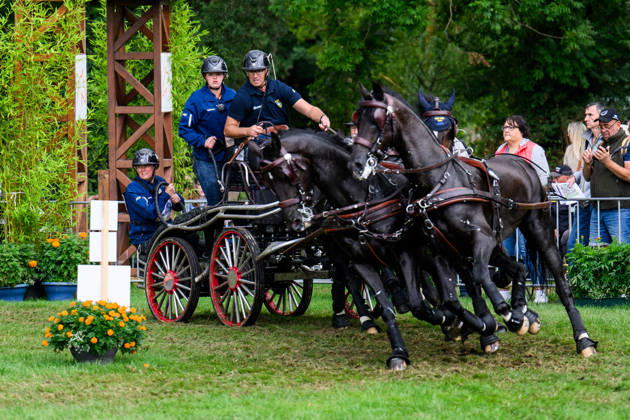 August 22, 2026: Fredrik Persson of Sweden, with his horses Fasco, Hertog Jan, Judson, and Kermit, competes in the Four-in-Hand Marathon on Day 12 of the 2026 FEI World Championships on August 22, 2026 in Aachen. Photo by Emma Wallskog. BILDBYRAN code EW EW0697 equestrian sports 2026 World Championships 2026 FEI World Championships bbeng equestrian sports World Championships four-in-hand driving Copyright: EMMAxWALLSKOG BB260822EW015