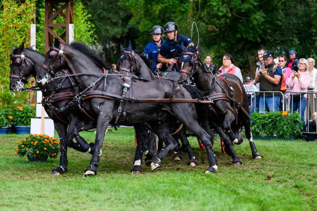 August 22, 2026: Fredrik Persson of Sweden, with his horses Fasco, Hertog Jan, Judson, and Kermit, competes in the Four-in-Hand Marathon on Day 12 of the 2026 FEI World Championships on August 22, 2026 in Aachen. Photo by Emma Wallskog. BILDBYRAN code EW EW0697 equestrian sports 2026 World Championships 2026 FEI World Championships bbeng equestrian sports World Championships four-in-hand driving Copyright: EMMAxWALLSKOG BB260822EW016