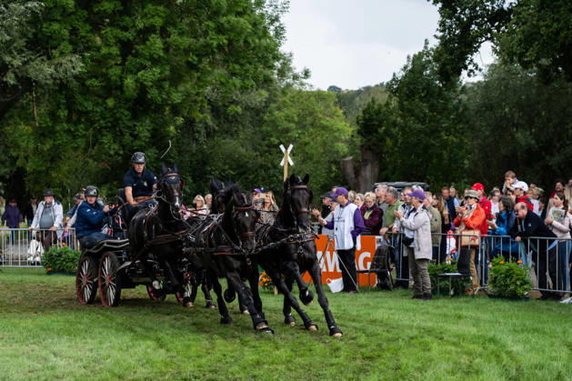 August 22, 2026: Fredrik Persson of Sweden, with his horses Fasco, Kaptain, Judson, and Kermit, competes in the Four-in-Hand Marathon on Day 12 of the 2026 FEI World Championships, 2026 in Aachen. Photo by Emma Wallskog, BILDBYRAN, code EW EW0697: equestrian sports, 2026 World Championships, 2026 FEI World Championships, BBENG, equestrian sports, World Championships, four-in-hand, driving Copyright: EMMAxWALLSKOG BB260822EW020