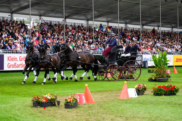 260823 Fredrik Persson of Sweden, with his horses Fasco, Kaptain, Judson, and Kermit, competes in the Four-in-Hand cones on Day 13 of the 2026 FEI World Championships on August 23, 2026 in Aachen. Photo by Emma Wallskog. BILDBYRAN code EW EW0700 four-in-hand driving cones precision Copyright: EMMAxWALLSKOG BB260823EW014