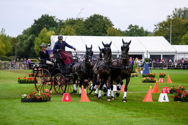 260823 Fredrik Persson of Sweden, with his horses Fasco, Kaptain, Judson, and Kermit, competes in the Four-in-Hand cones on Day 13 of the 2026 FEI World Championships on August 23, 2026 in Aachen. Photo by Emma Wallskog. BILDBYRAN code EW EW0700 four-in-hand driving cones precision  Copyright: EMMAxWALLSKOG BB260823EW016