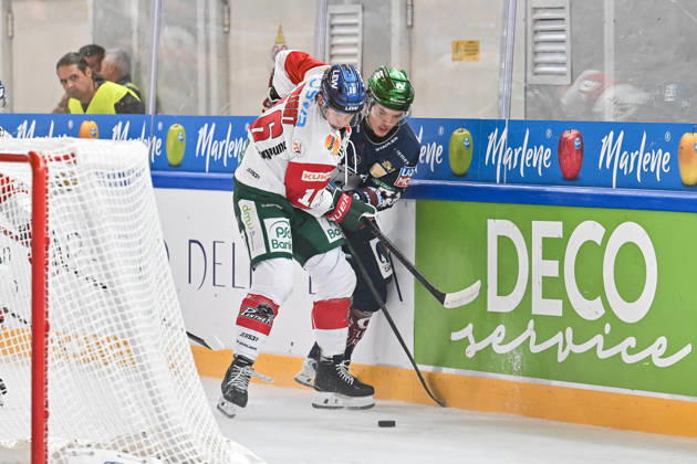 Dolomites Cup 2026: Eisbären Berlin vs. Augsburger Panther, August 23, 2026, NEUMARKT, ITALY, August 23: Cameron WRIGHT of the Augsburger Panther (No. 16) and Moritz KRETZSCHMAR of the Eisbären Berlin (No. 83) face off during the exhibition game between the Eisbären Berlin and the Augsburger Panther at the Dolomiten Cup in the Würth Arena in Neumarkt Copyright: xBEAUTIFULxSPORTS Goldbergx