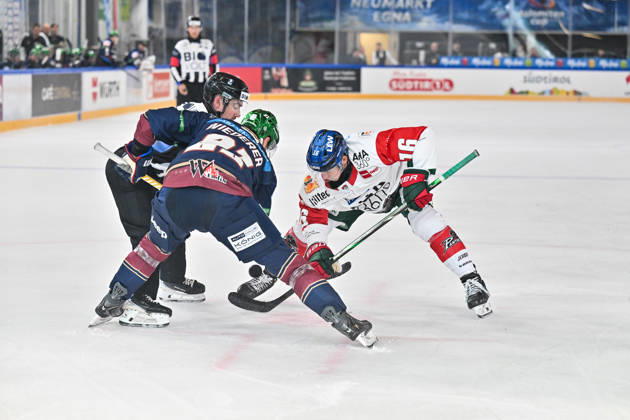 Dolomites Cup 2026 Eisbären Berlin vs. Augsburger Panther August 23, 2026, NEUMARKT, ITALY, August 23: Manuel WIEDERER of the Eisbären Berlin (No. 21) and Cameron WRIGHT of the Augsburger Panther (No. 16) face off at the faceoff during the exhibition game between the Eisbären Berlin and the Augsburger Panther at the Dolomiten Cup in the Würth Arena in Neumarkt Copyright: xBEAUTIFULxSPORTS Goldbergx
