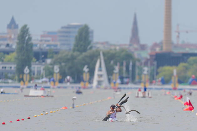 ICF Canoe Sprint and Paracanoe World Championships Korea K4 Team during ICF Canoe Sprint and Paracanoe World Championships in Poznan, Poland, on August 28, 2026 Poznan Poland Copyright: xFotoxOlimpikx originalFilename:jastrzebowski-icfcanoe260826_npA7c