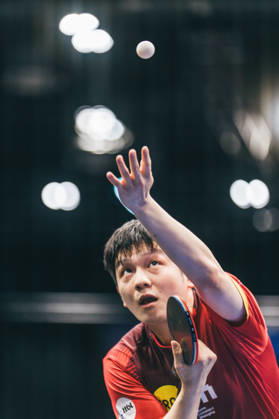 August 29, 2026, Table Tennis, Men s, TTBL, Bundesliga, Cup, Nuremberg, Grand Opening, Round of 16, Quarterfinals, Fan Zhendong, Borussia Düsseldorf, Nuremberg, Bavaria, Germany P1194452-2