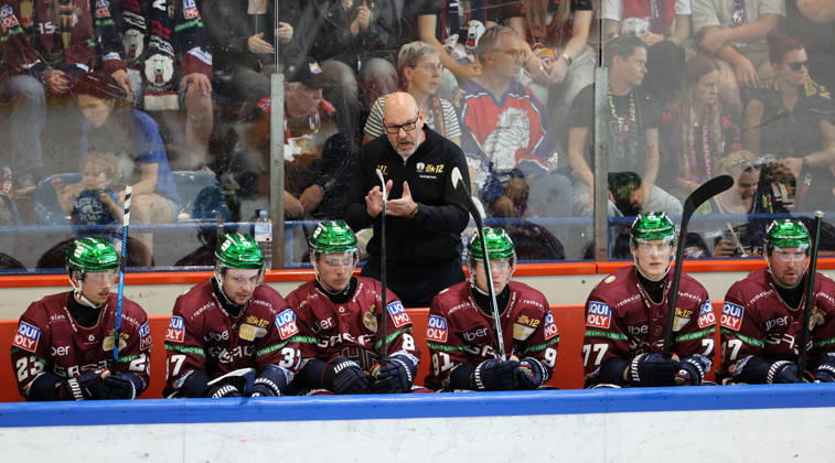 Coach Eric Dubois cheers on the team; in front of him are Rihards Griva, Markus Vikingstad, Noel Saffran, Eric Hördler, Gabriel Fontaine Action Upper Body Sports Ice Hockey Penny DEL German Ice Hockey League Exhibition Game 2026–2027 Season August 30, 2026 EHC Eisbären Berlin (EBB) vs. Lausitzer Füchse