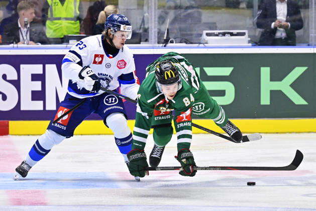 Eishockey, CHL. HC Skoda Plzen - CKS Tychy