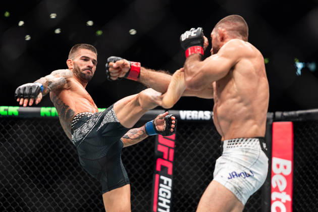 Kampfsport, UFC, Kampfabend in Paris