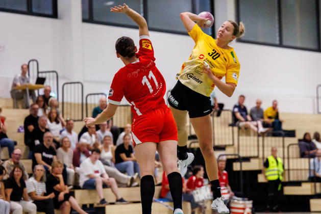 Handball, Women's, 2nd Bundesliga, 1. FSV Mainz 05 v HC Roedertal