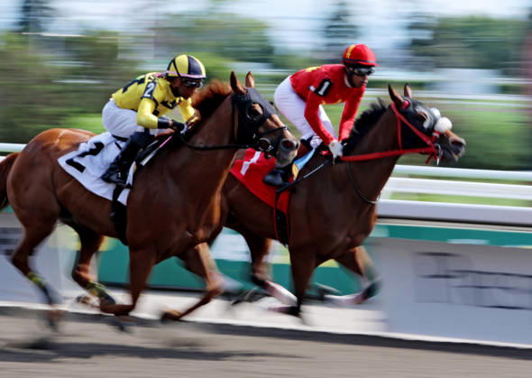 Pferdesport, Galopp, Renntag in Toronto