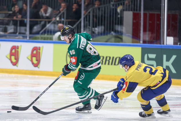 Ice hockey, Champions League, Tychy v HC Davos