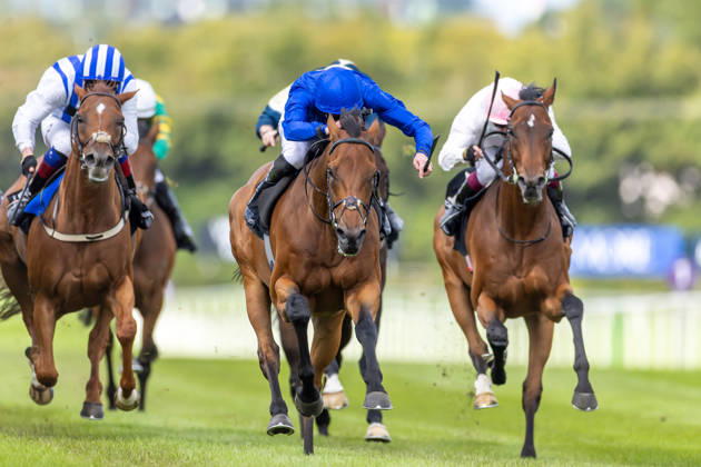 Equestrian sports, horse racing, race day at Leopardstown
