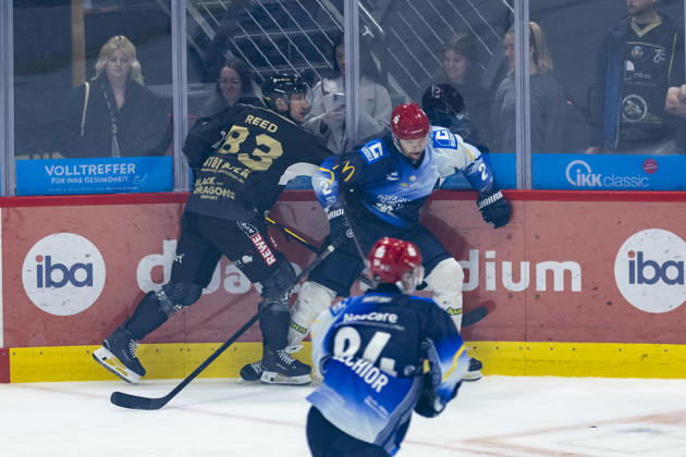 Eishockey, Testspiel, Black Dragons Erfurt - Mighty Dogs Schweinfurt