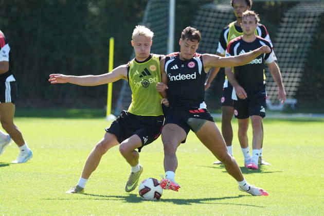 Fußball, 1. BL, Eintracht Frankfurt, Training