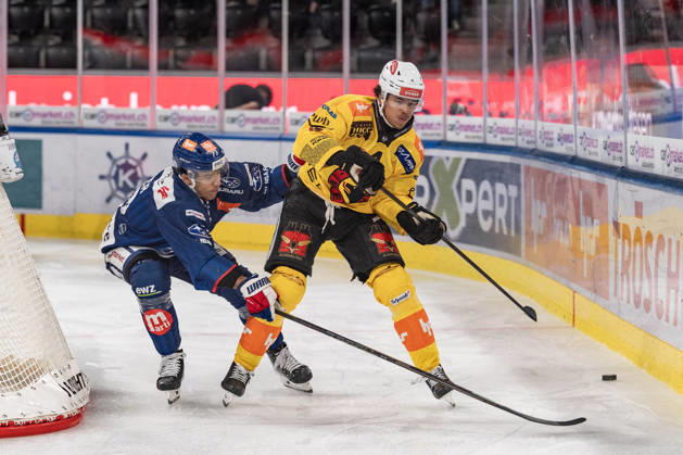 September 15, 2026, Zurich, Swiss Life Arena, National League: ZSC Lions vs. SC Bern, 4 Hardy Häman (Aktell Bern), 73 Kimo Gruber (ZSC Zurich), Swiss Life Arena, Zurich, Switzerland Copyright: xJustPictures.ch StefanxEmchx jp-de-StEm-DSC0110820260915