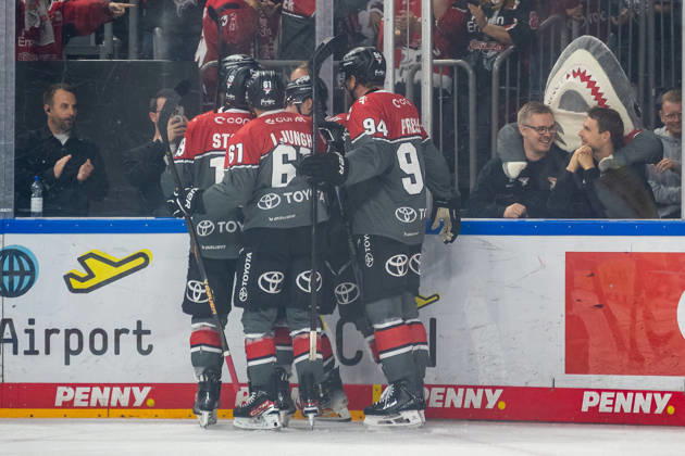 The Cologne players celebrate the goal that tied the game at 1–1: Cologne Haie vs. Grizzlys Wolfsburg, ice hockey, Penny DEL, Matchday 1, 2026–2027 season, September 18, 2026, Cologne Sharks vs. Wolfsburg Grizzlys, ice hockey, Penny DEL, Matchday 1, 2026–2027 season, September 18, 2026, Cologne Copyright: xEibner-Pressefoto ThomasxHaeslerx EP_THR