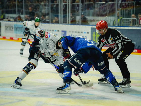 September 20, 2026, xwppx, Penny DEL Ice Hockey, Adler Mannheim vs. Eisbären Berlin, from left: Faceoff with Liam Kirk, Eisbären Berlin