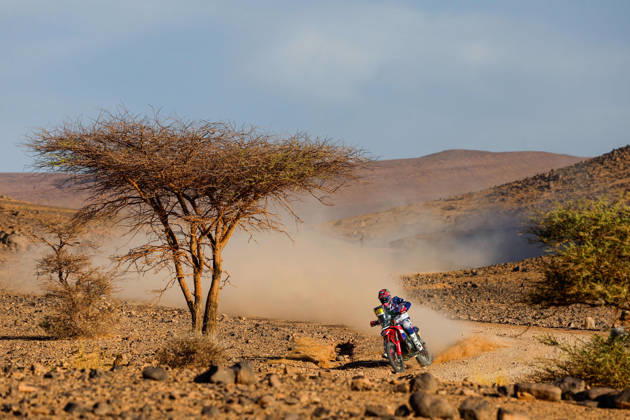 W2RC - RALLYE DU MAROC 2026 42 VAN BEVEREN Adrien (fra), Monster Energy Honda HRC, Honda CRF 450, FIM W2RC, Rally GP, action, during the Stage 5 of the Rallye du Maroc 2026, 4th round of the 2026 WR2C Championship from October 3, 2026 around Zagora, Morocco - AgadirMorocco  Copyright: xFREDERICxLExFLOCxHx