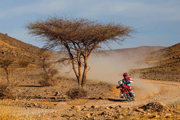 W2RC - RALLYE DU MAROC 2026 66 THERIC Neels (fra), Kove Factory Racing, Kove 450 Rally, FIM W2RC, Rally 2, action, during the Stage 5 of the Rallye du Maroc 2026, 4th round of the 2026 WR2C Championship from October 3, 2026 around Zagora, Morocco - AgadirMorocco  Copyright: xFREDERICxLExFLOCxHx