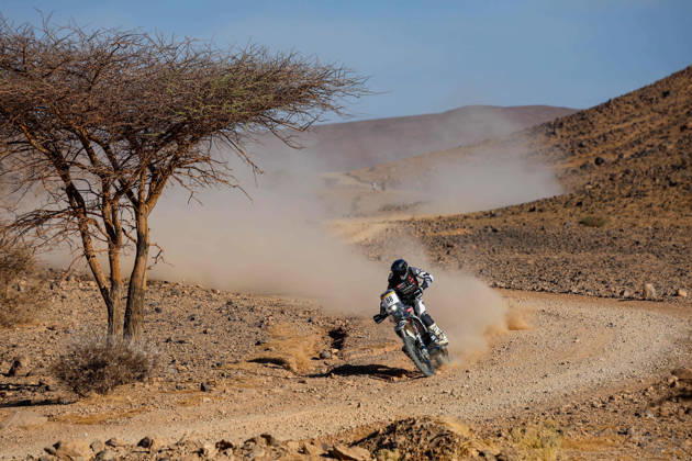 W2RC - RALLYE DU MAROC 2026 88 BOZZO Bruno (esp), Pedregà Racing Team, KTM 450 Rally Factory Replica, FIM W2RC, Rally 2 J, action, during the Stage 5 of the Rallye du Maroc 2026, 4th round of the 2026 WR2C Championship from October 3, 2026 around Zagora, Morocco - AgadirMorocco  Copyright: xFREDERICxLExFLOCxHx