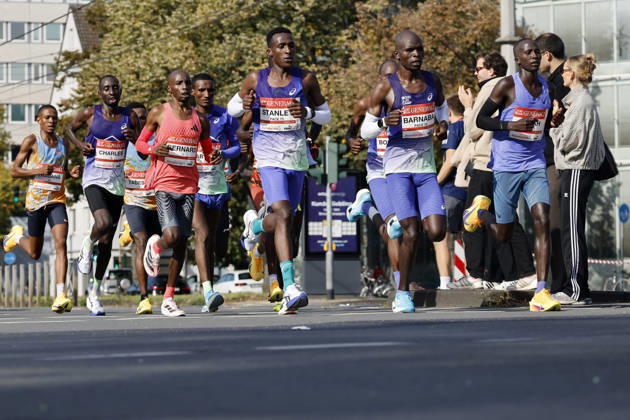 Athletics, marathon and half-marathon in Cologne